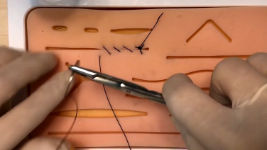 An Image from "Aberdeen Knot with Lynetta Freeman, DVM"