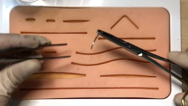 An Image From "Instrument Tie with Lynetta Freeman, DVM"